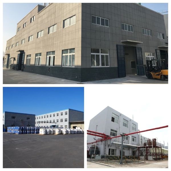 China Shandong Jiuchong Chemical Co., Ltd. Perfil de la compañía